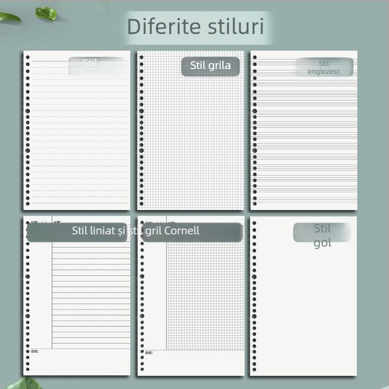 Caiet cu copertă PP, foi detașabile, hârtie Dowling 80gsm, 100-200 pagini, stil creativ