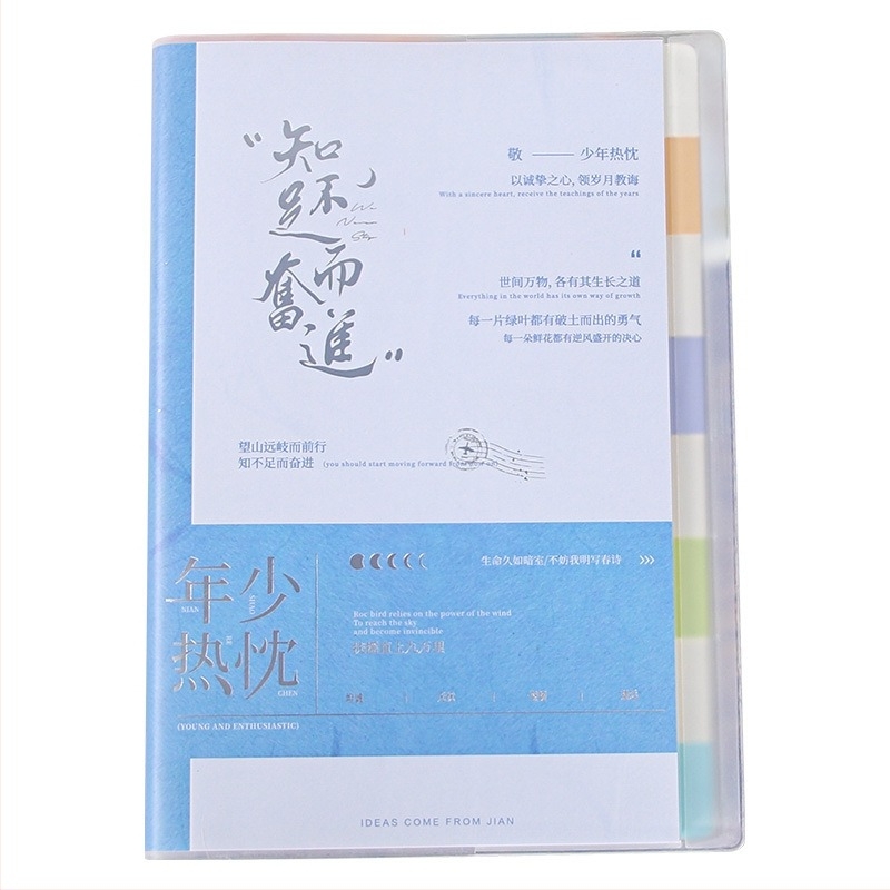 Caiet cu etichete și pagini de clasificare, copertă din hârtie, legare cu adeziv și ață, hârtie interioară dublu acoperită, 100–200 de pagini, stil business office minimalist