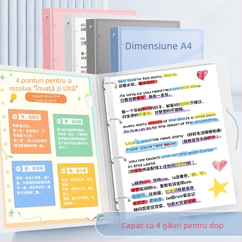 Mapă A4 cu găuri 4, pagini interioare PP, 60 coli, personalizare disponibilă