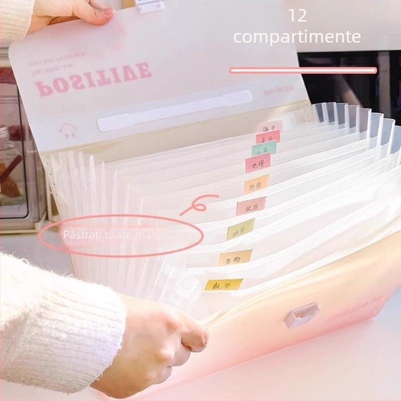 Zi Yi mapă pentru documente, 12 compartimente, PP material, design acordeon vertical, model ZL30372