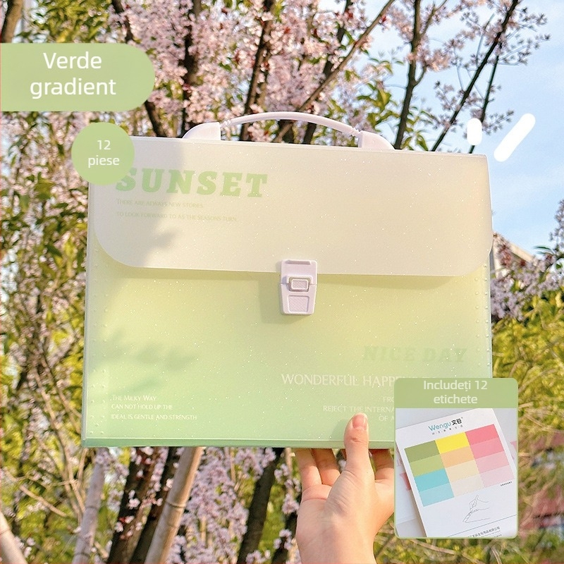 Zi Yi mapă pentru documente, 12 compartimente, PP material, design acordeon vertical, model ZL30372