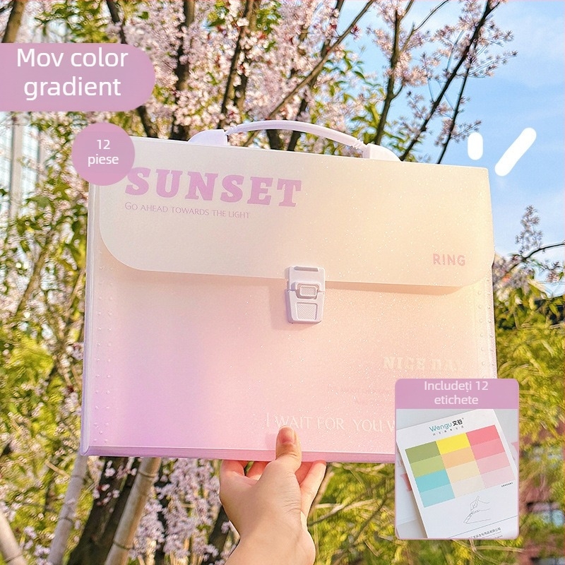 Zi Yi mapă pentru documente, 12 compartimente, PP material, design acordeon vertical, model ZL30372