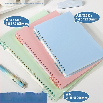 Caiet de desen pixeli (Legare binder, Copertă PP, Hârtie offset dublu, Greutate hârtiei 80 g, 60 de foi)