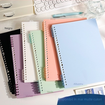 Caiet de desen pixeli (Legare binder, Copertă PP, Hârtie offset dublu, Greutate hârtiei 80 g, 60 de foi)