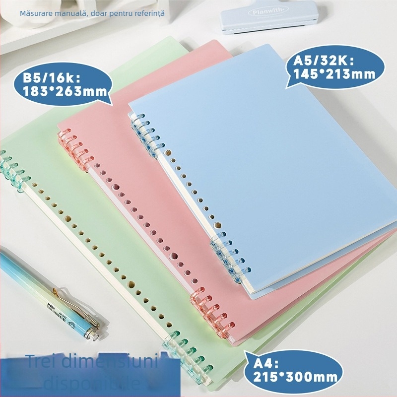 Caiet de desen pixeli (Legare binder, Copertă PP, Hârtie offset dublu, Greutate hârtiei 80 g, 60 de foi)