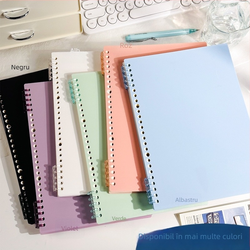 Caiet de desen pixeli (Legare binder, Copertă PP, Hârtie offset dublu, Greutate hârtiei 80 g, 60 de foi)