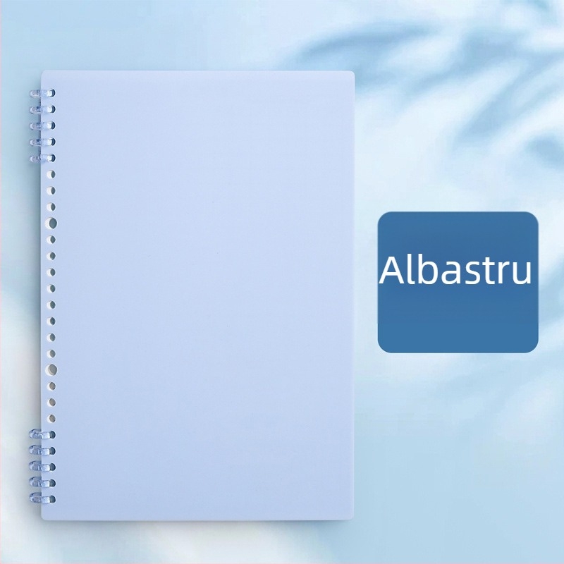 Caiet de desen pixeli (Legare binder, Copertă PP, Hârtie offset dublu, Greutate hârtiei 80 g, 60 de foi)