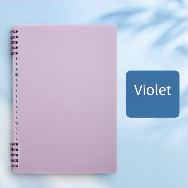 Caiet de desen pixeli (Legare binder, Copertă PP, Hârtie offset dublu, Greutate hârtiei 80 g, 60 de foi)