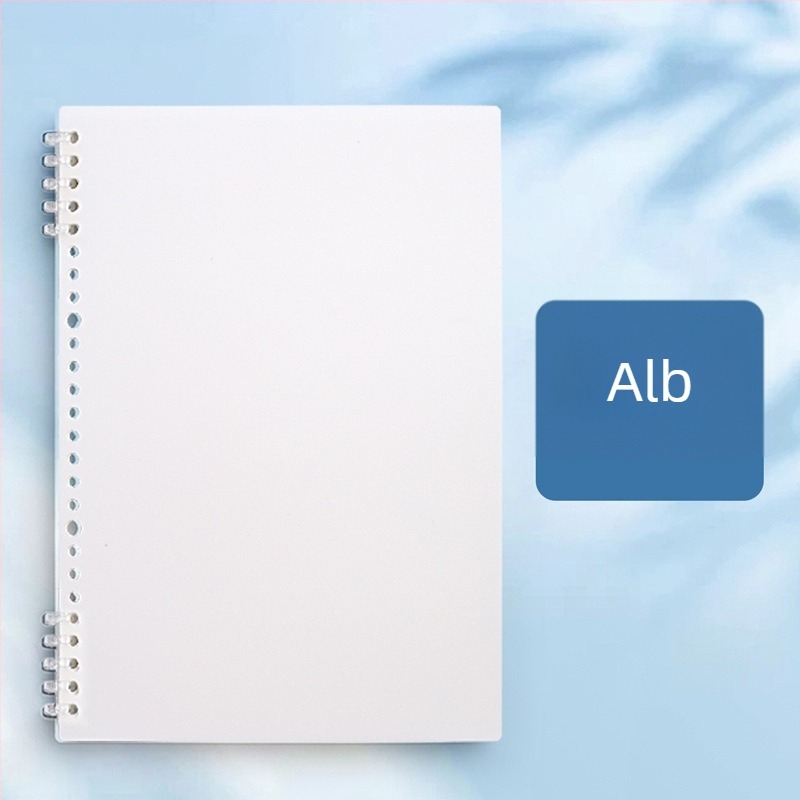 Caiet de desen pixeli (Legare binder, Copertă PP, Hârtie offset dublu, Greutate hârtiei 80 g, 60 de foi)