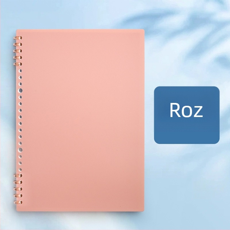 Caiet de desen pixeli (Legare binder, Copertă PP, Hârtie offset dublu, Greutate hârtiei 80 g, 60 de foi)