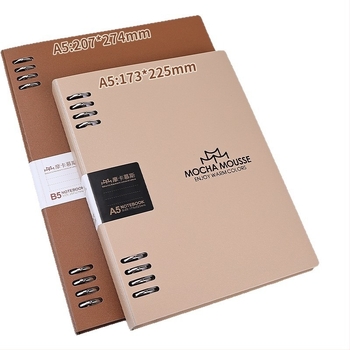 Notebook cu foi detașabile, inel detașabil și legare spirală, găuri 20/26, foi de hârtie