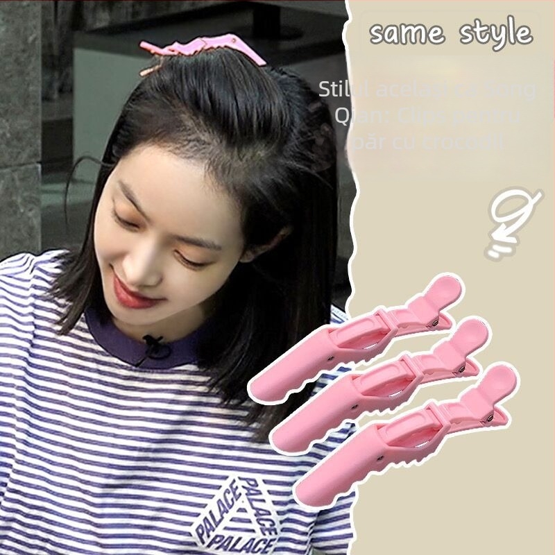 Clip de păr tip duckbill, handmade, din plastic/rășină, pentru femei, stil proaspăt și dulce