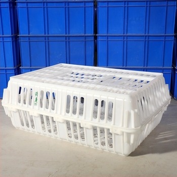 Cutie de transport păsări HDPE pentru păsări vii, rezistență înaltă, siglă tipărită, greutate proprie 5 kg