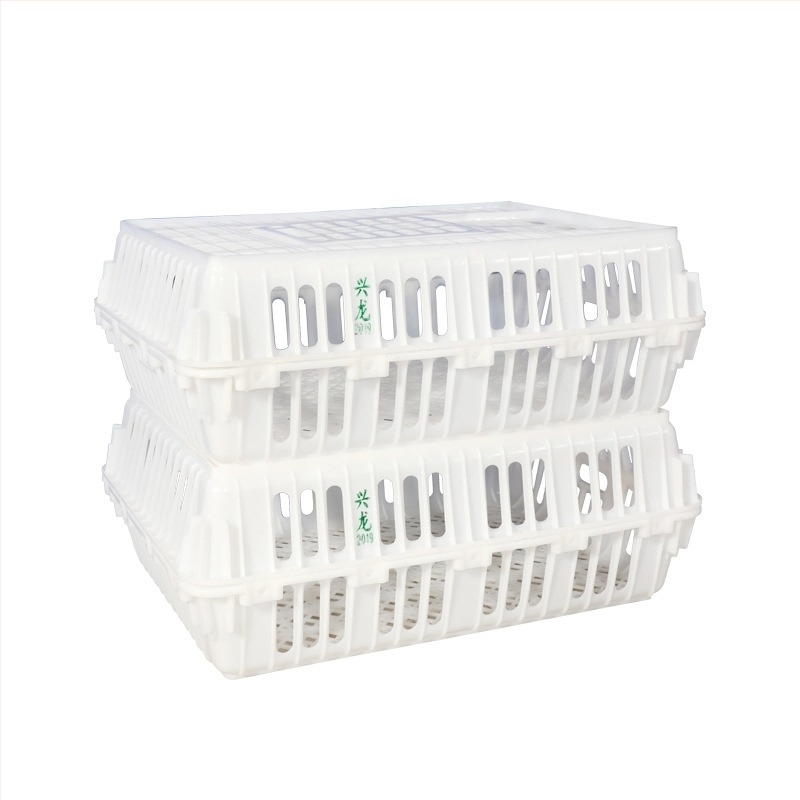 Cutie de transport păsări HDPE pentru păsări vii, rezistență înaltă, siglă tipărită, greutate proprie 5 kg