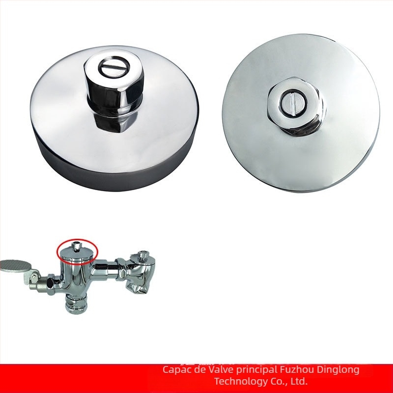 Corp de valve de spălare pentru toaletă, compatibil cu pedala American Standard - acționare manuală prin tijă de împingere, model 9852, metal