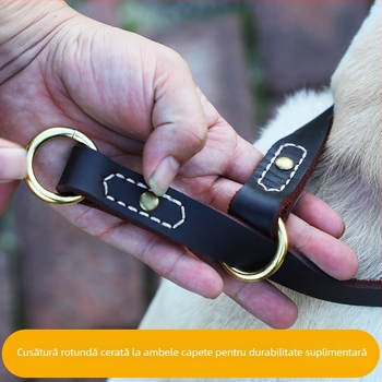 Colier de antrenament pentru câini, lanț P, din piele de vițel, reglabil, din piele de vită de primă calitate