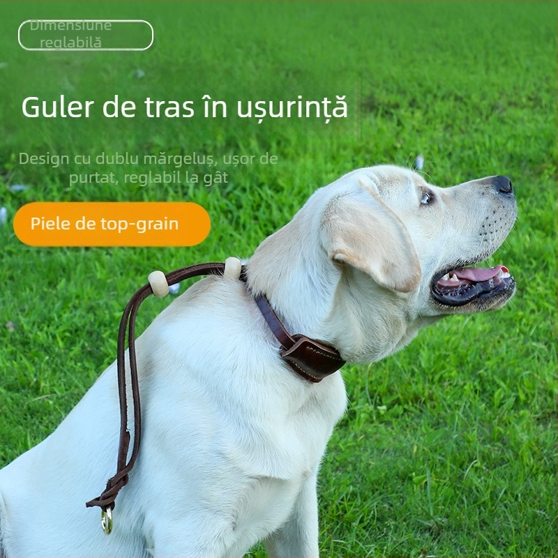 Colier de antrenament pentru câini, lanț P, din piele de vițel, reglabil, din piele de vită de primă calitate