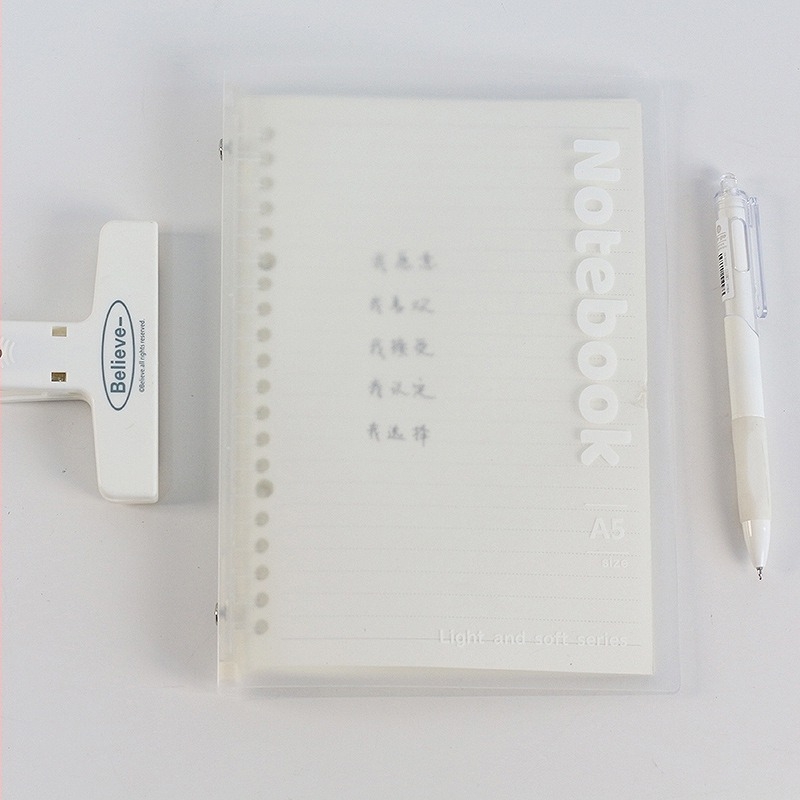 Caiet cu foi detașabile, 10 găuri, format A5, hârtie Dowling, 30 de foi, Model 8