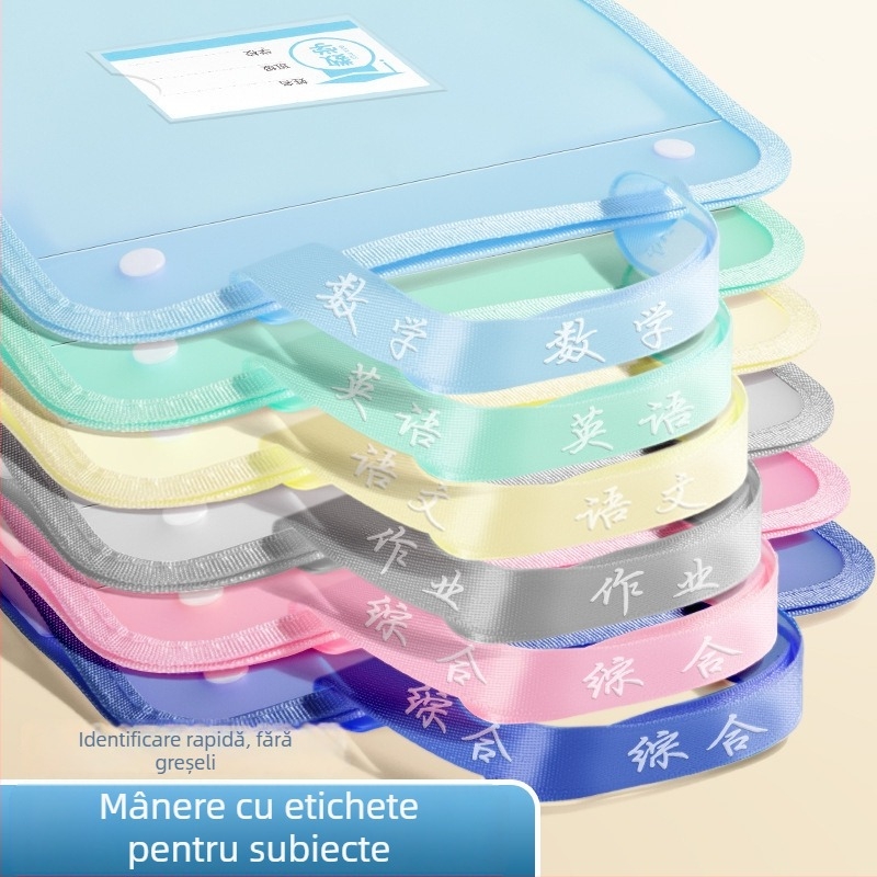 Organizator A4 pentru coli de examen – dosar din plastic, transparent, 13 compartimente (Model: A4, Fără logo)