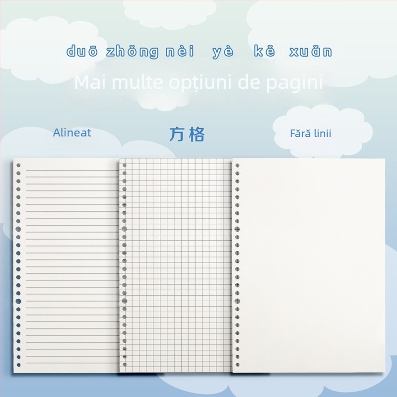 Caiet cu copertă PP și legare tip binder, pagini detașabile, 60 foi, hârtie offset 80 g, stil simplu