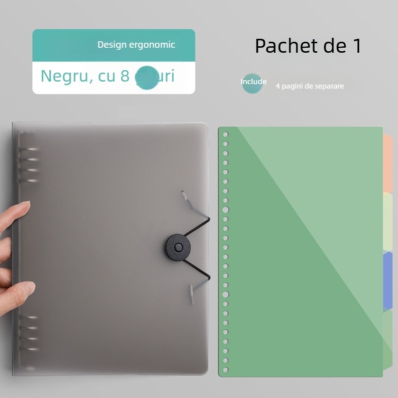 Caiet cu copertă PP și legare tip binder, pagini detașabile, 60 foi, hârtie offset 80 g, stil simplu