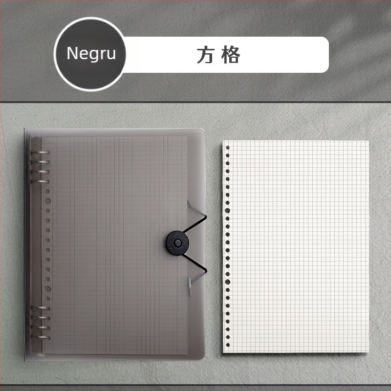 Caiet cu copertă PP și legare tip binder, pagini detașabile, 60 foi, hârtie offset 80 g, stil simplu