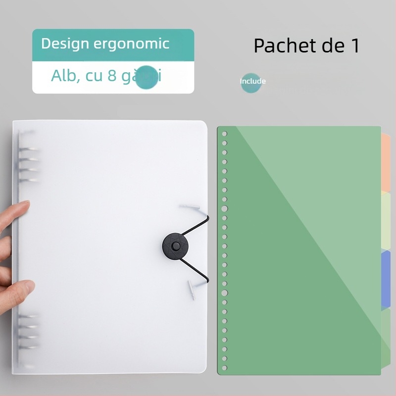 Caiet cu copertă PP și legare tip binder, pagini detașabile, 60 foi, hârtie offset 80 g, stil simplu