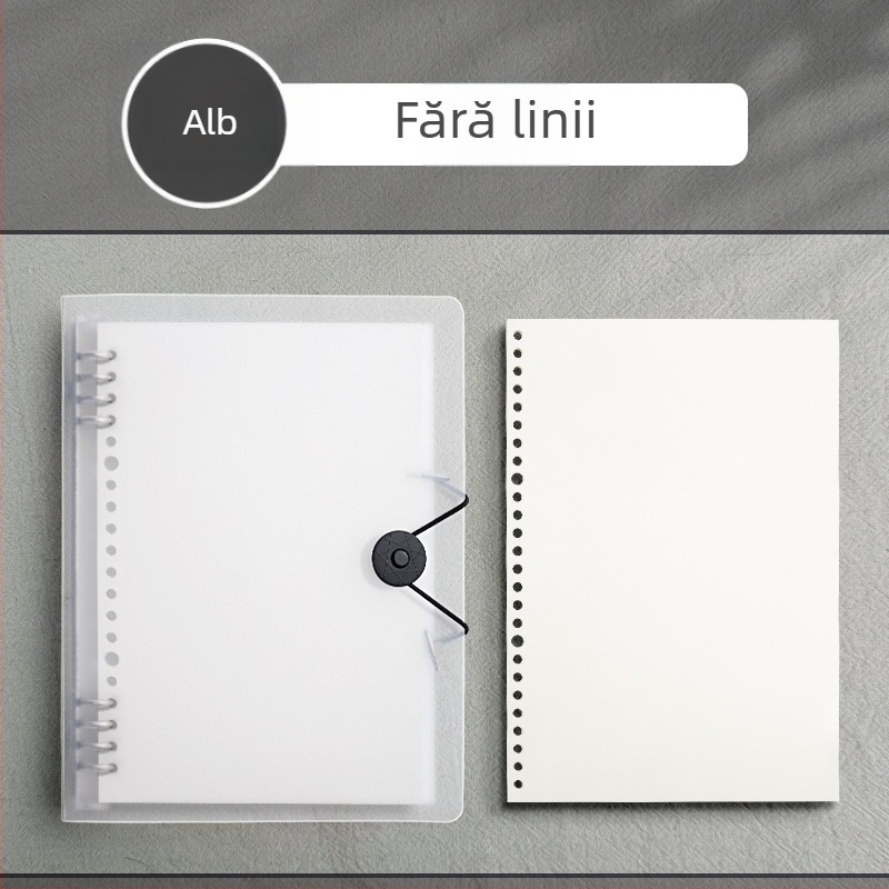 Caiet cu copertă PP și legare tip binder, pagini detașabile, 60 foi, hârtie offset 80 g, stil simplu