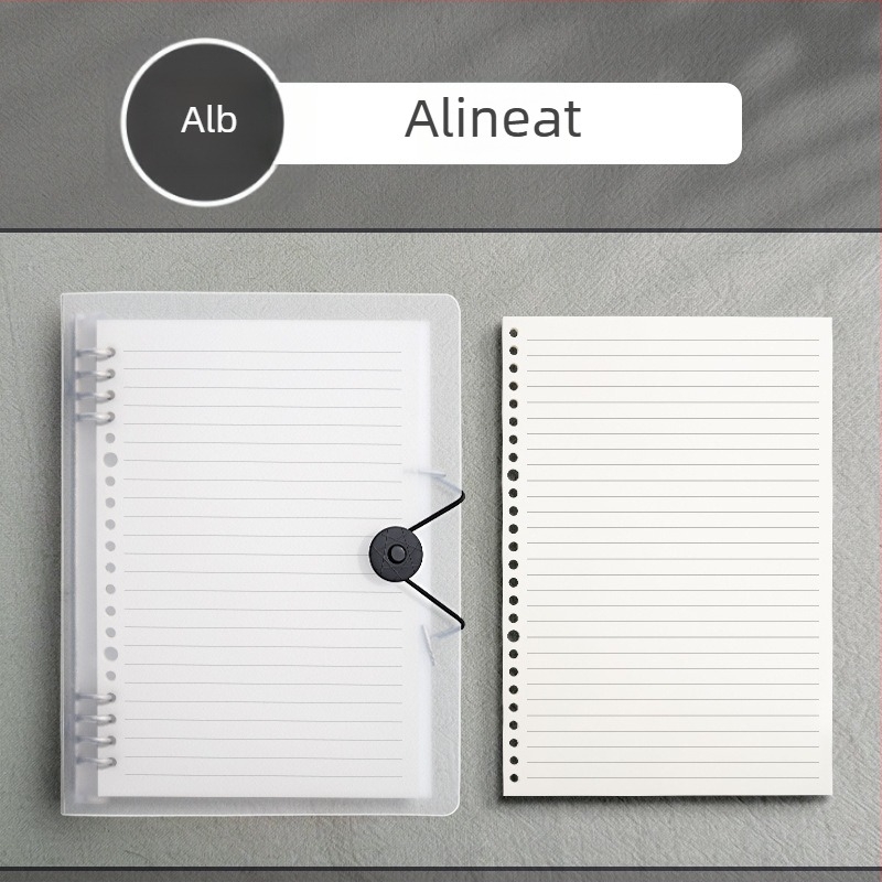 Caiet cu copertă PP și legare tip binder, pagini detașabile, 60 foi, hârtie offset 80 g, stil simplu