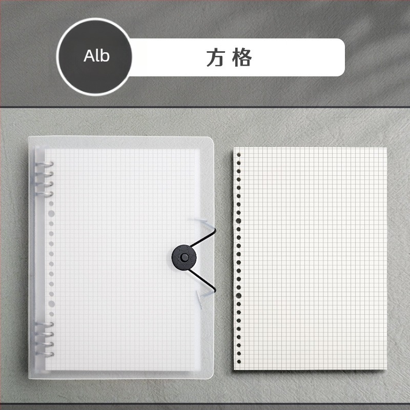 Caiet cu copertă PP și legare tip binder, pagini detașabile, 60 foi, hârtie offset 80 g, stil simplu