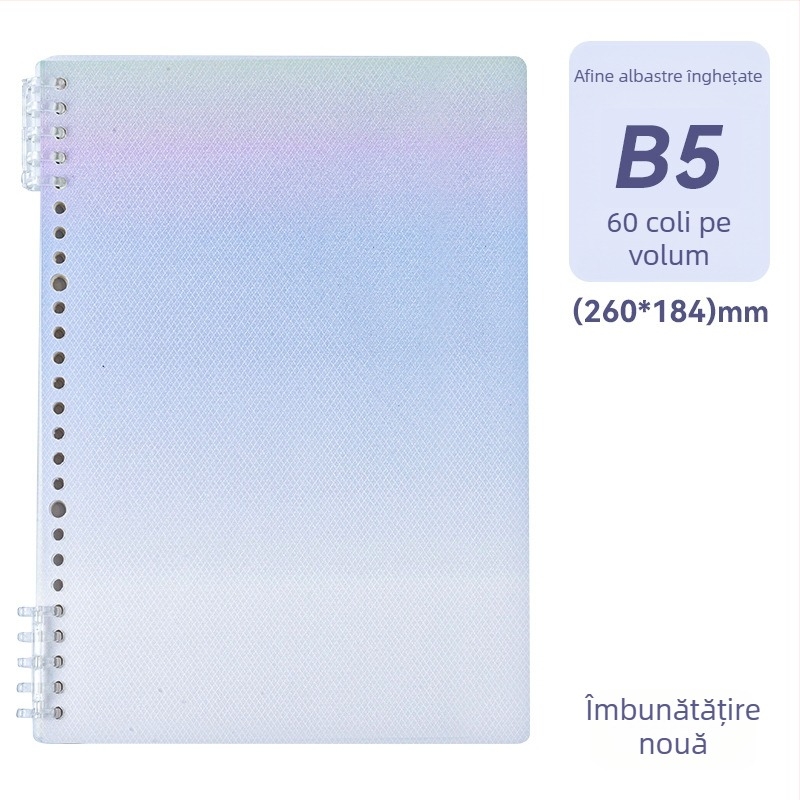 Caiet cu copertă în model dragon, legare binder, hârtie pulp de iarbă, 75 g/m², 50–100 pagini