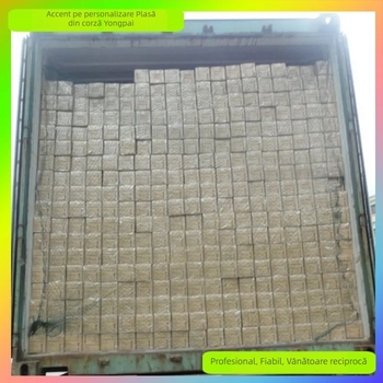 Plasă de protecție pentru containere – Yongpai Rope Net Co., Ltd. – Siguranță; Piețe principale: China, Alte