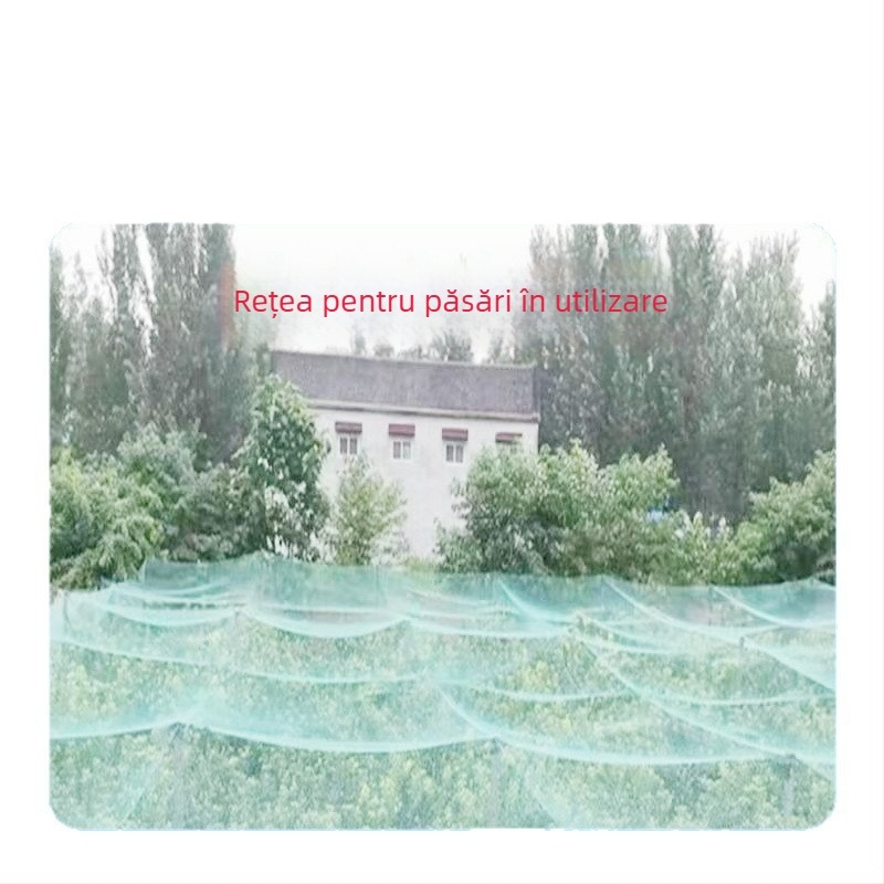 Plasă pentru păsări PE, pentru livadă, rezistentă și groasă pentru viță-de-vine (Material: PE; Dimensiunea ochiurilor: 4.0; Diametrul firului: 0.2×6; Durata de viață: 10 ani; Brand: Jun Hong Tu)