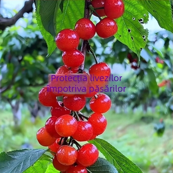 Plasă de păsări din nailon pentru protecție în exterior – potrivită pentru livezi, ferme, aeroporturi și iazuri cu pești