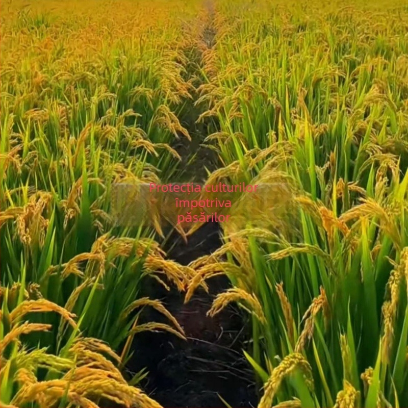 Plasă de păsări din nailon pentru protecție în exterior – potrivită pentru livezi, ferme, aeroporturi și iazuri cu pești