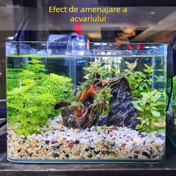 Substrat din piatră pentru acvarii și ornamente peisagistice pentru suculente — pietre îngroșate