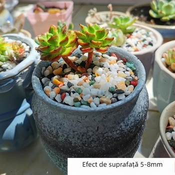 Substrat din piatră pentru acvarii și ornamente peisagistice pentru suculente — pietre îngroșate