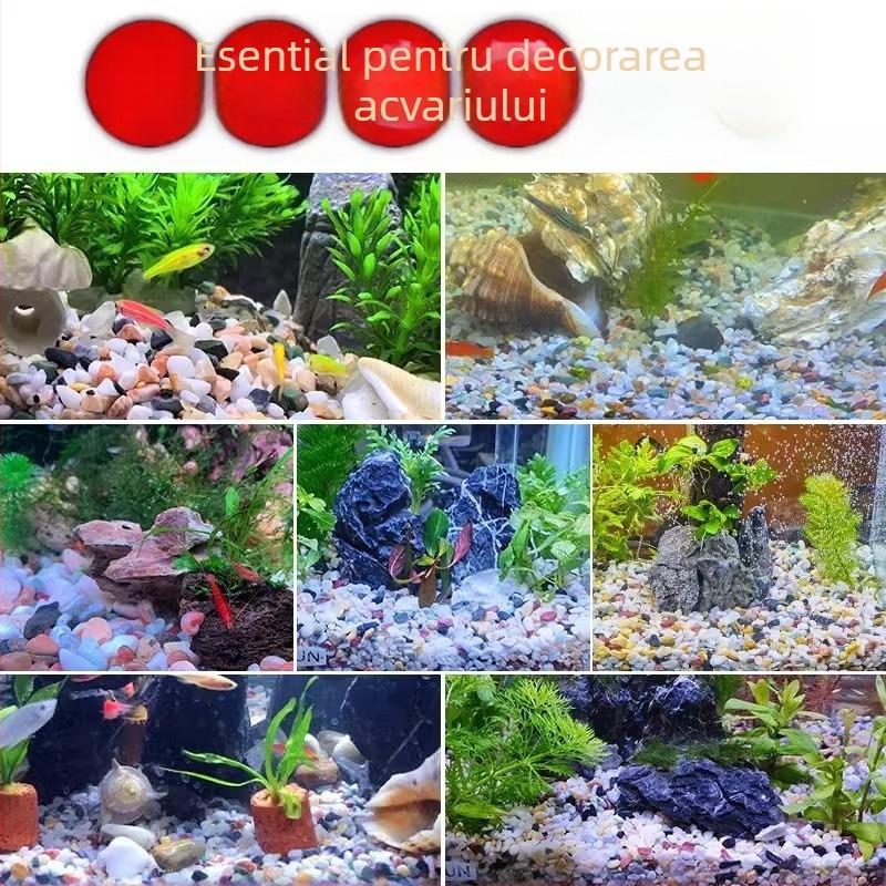 Substrat din piatră pentru acvarii și ornamente peisagistice pentru suculente — pietre îngroșate