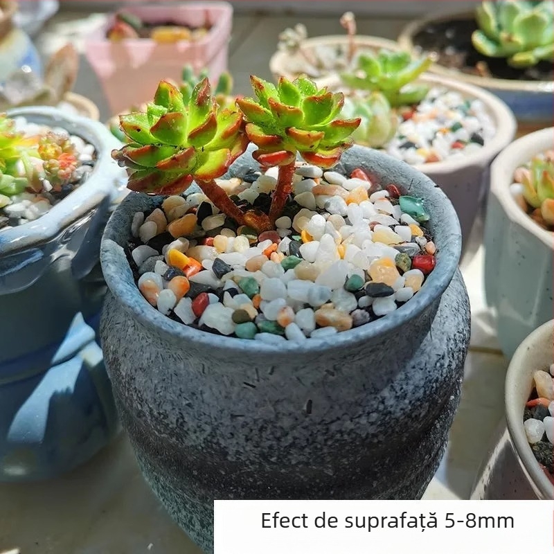 Substrat din piatră pentru acvarii și ornamente peisagistice pentru suculente — pietre îngroșate