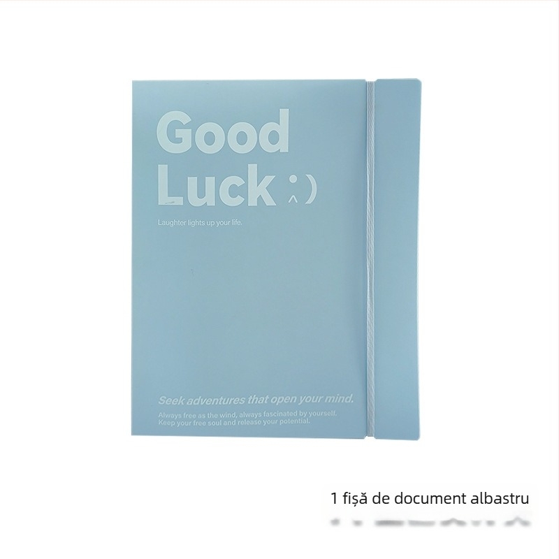 IDEALINK BINDER cu 3 găuri pentru A4, buzunar transparent pentru documente cu curea