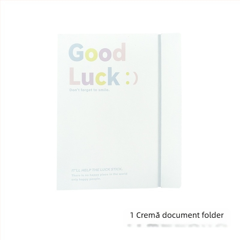IDEALINK BINDER cu 3 găuri pentru A4, buzunar transparent pentru documente cu curea