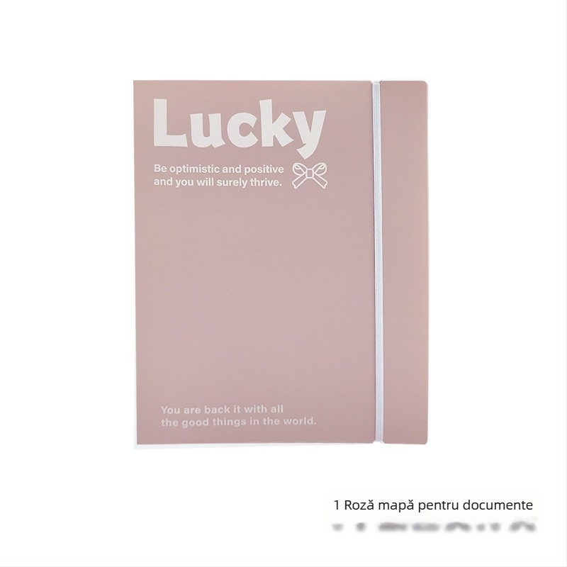 IDEALINK BINDER cu 3 găuri pentru A4, buzunar transparent pentru documente cu curea