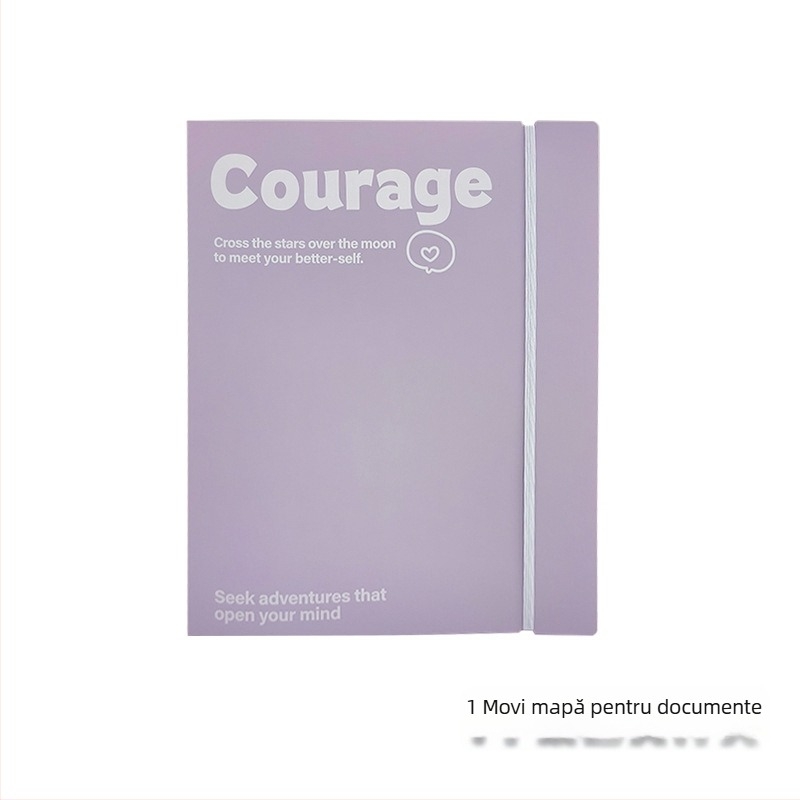 IDEALINK BINDER cu 3 găuri pentru A4, buzunar transparent pentru documente cu curea