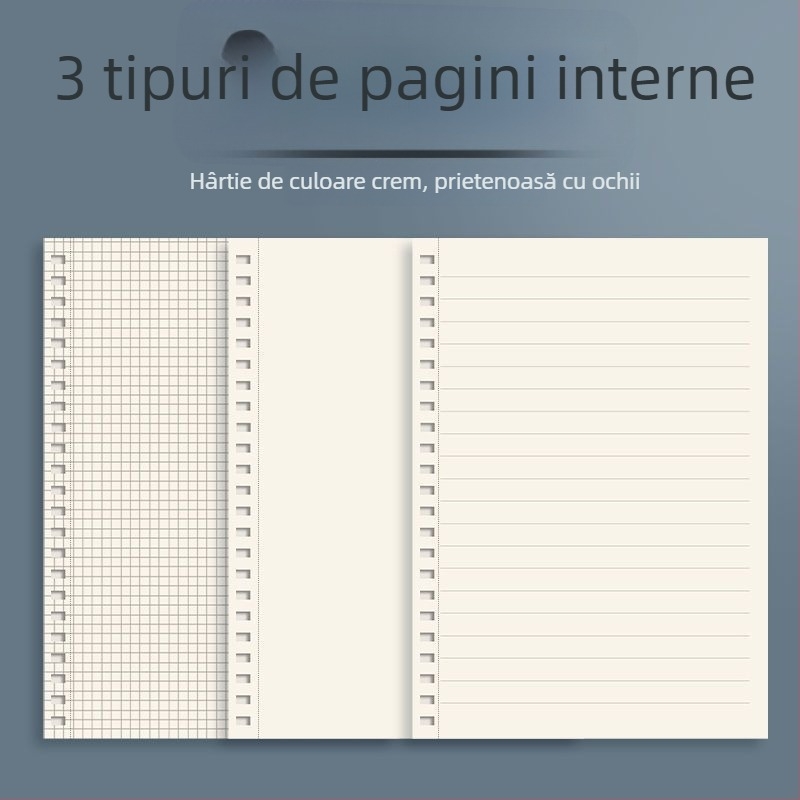 Caiet PP cu spirală, hârtie 80 g, 80 foi