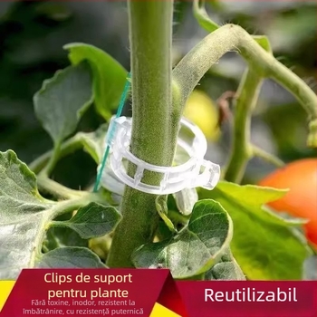 Clip de fixare pentru viță-de-vie și răsaduri — set pentru grădinărit la domiciliu, cu sârmă de legare inclusă, sprijin pentru creșterea plantelor