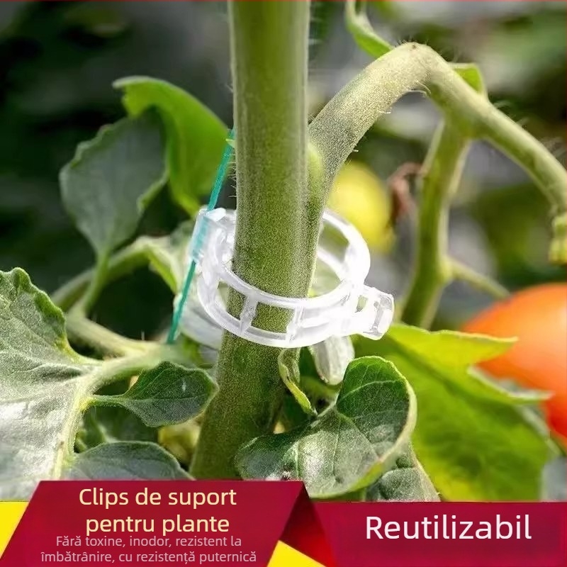 Clip de fixare pentru viță-de-vie și răsaduri — set pentru grădinărit la domiciliu, cu sârmă de legare inclusă, sprijin pentru creșterea plantelor