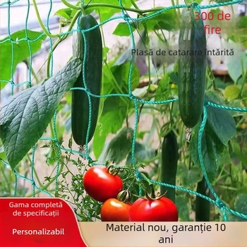Plasă plastic pentru plante cățătoare – tip: Plasă cățătoare; Brand: Yuduohuan; Potrivit pentru grădină, terasă, balcon; sprijină vița de vie, pepeni, fasole