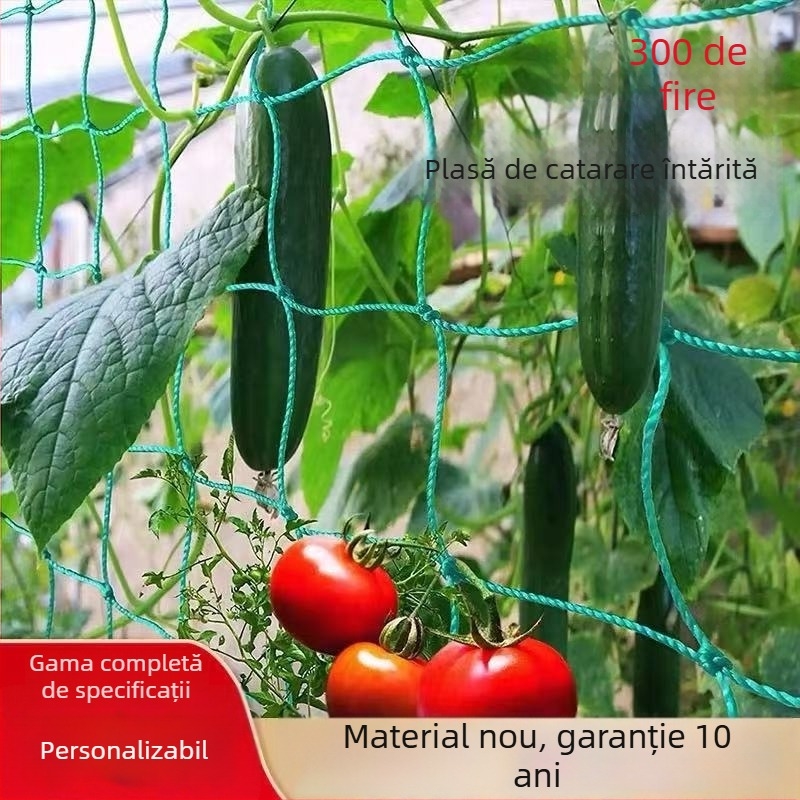 Plasă plastic pentru plante cățătoare – tip: Plasă cățătoare; Brand: Yuduohuan; Potrivit pentru grădină, terasă, balcon; sprijină vița de vie, pepeni, fasole