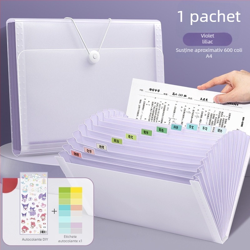 Deli 5238 Organizator de fișiere din plastic cu 13 buzunare