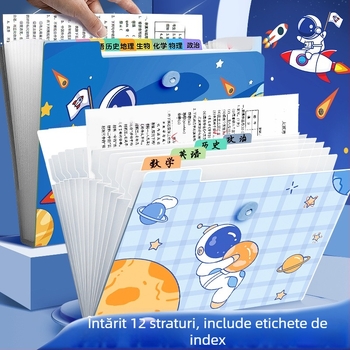 Dosar acordeon pentru documente, plastic transparent, 12 buzunare, grosime 0,6 mm